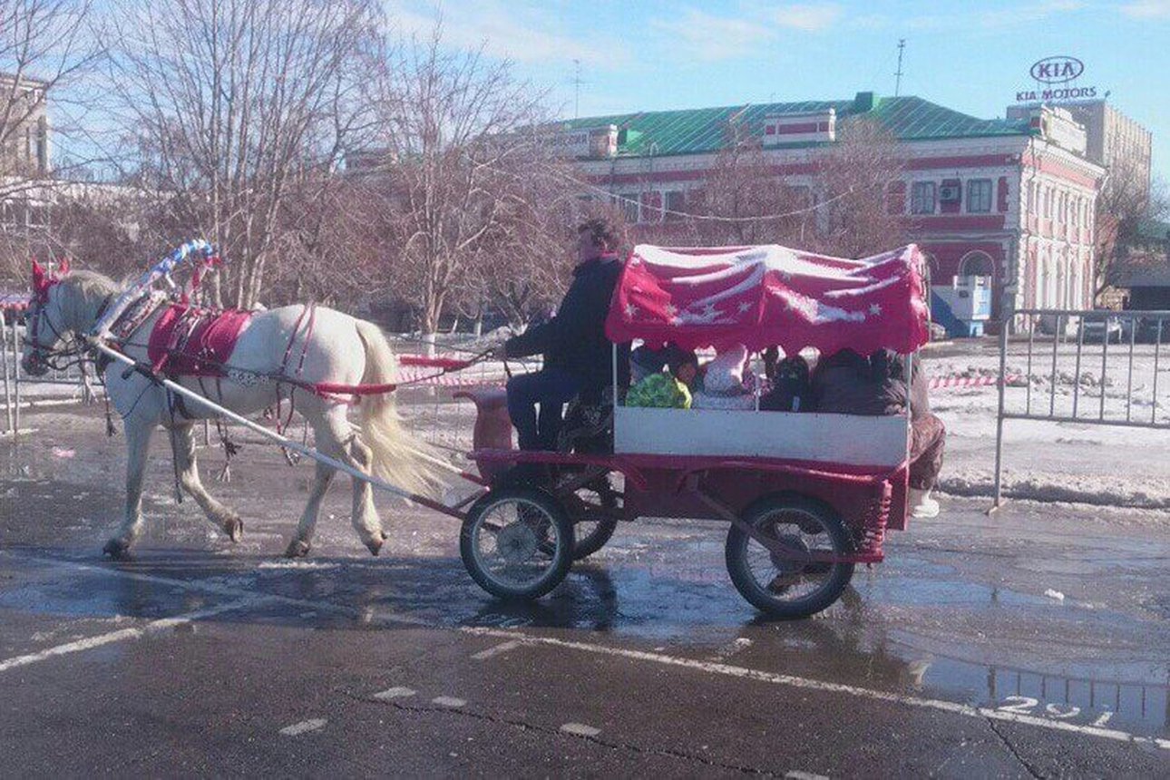 Верховая езда на лошади вдвоём. КСК Konipark в Саратове